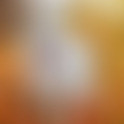 Chegada de Prince ao Brasil