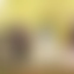 Happyness - Campeão Brasileiro