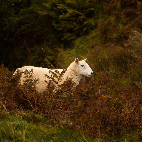 Isle of Skye