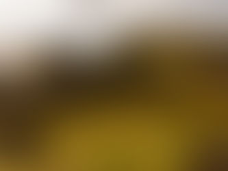 Rondreis door de Schotse Highlands