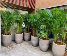 a090f81e-0230-470c-b1db-39edac7e2b49.jfif