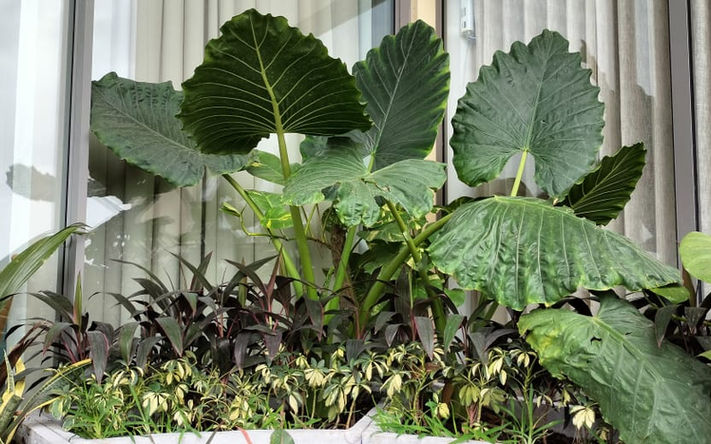 c583d32c-c6ec-4e47-9662-e30dcc6a7507.jfif