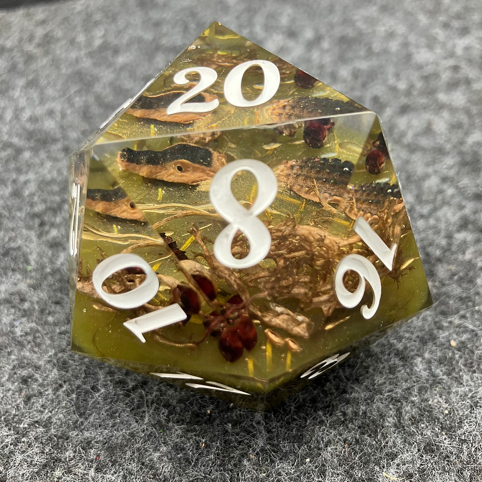 Thumbnail: Everglades 50mm Diceorama Chonker