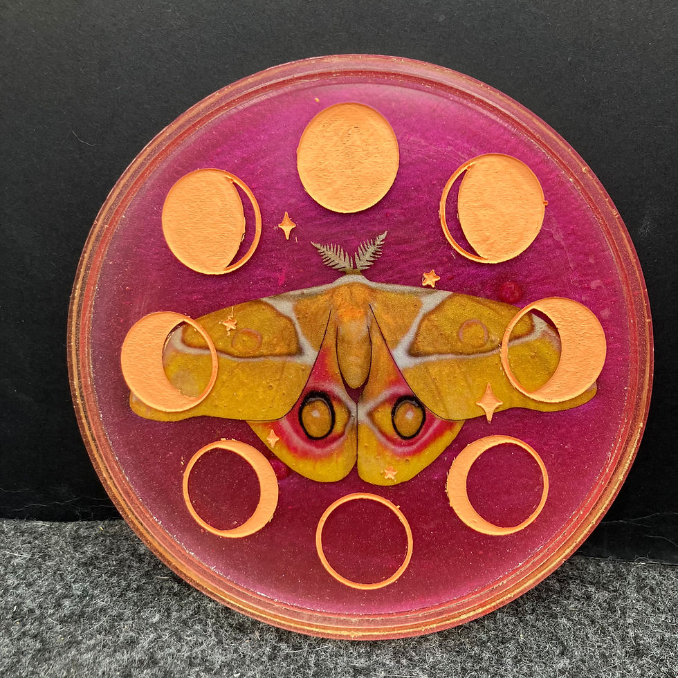 Thumbnail: Pink moth tray