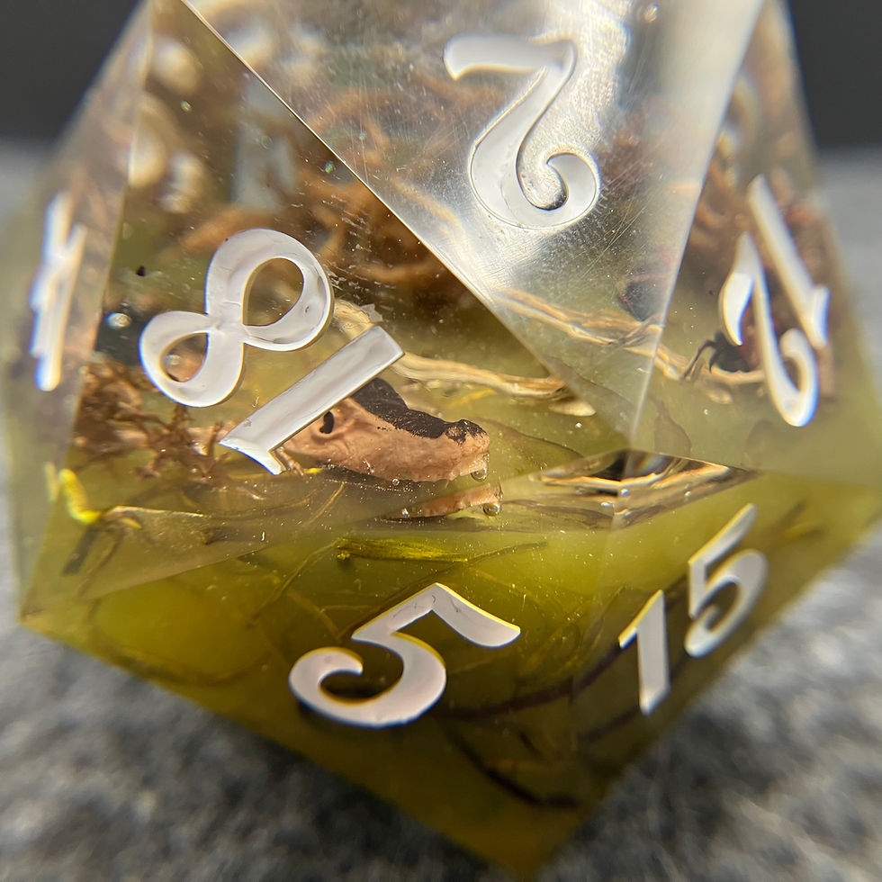 Thumbnail: Everglades 50mm Diceorama Chonker