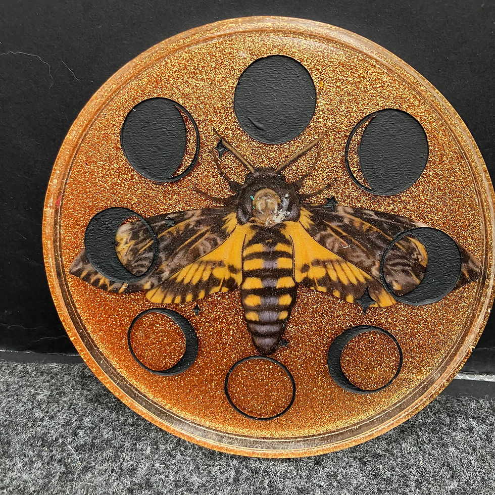 Thumbnail: Bronze moth tray
