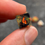 Thumbnail: Forest Guardian mini dice