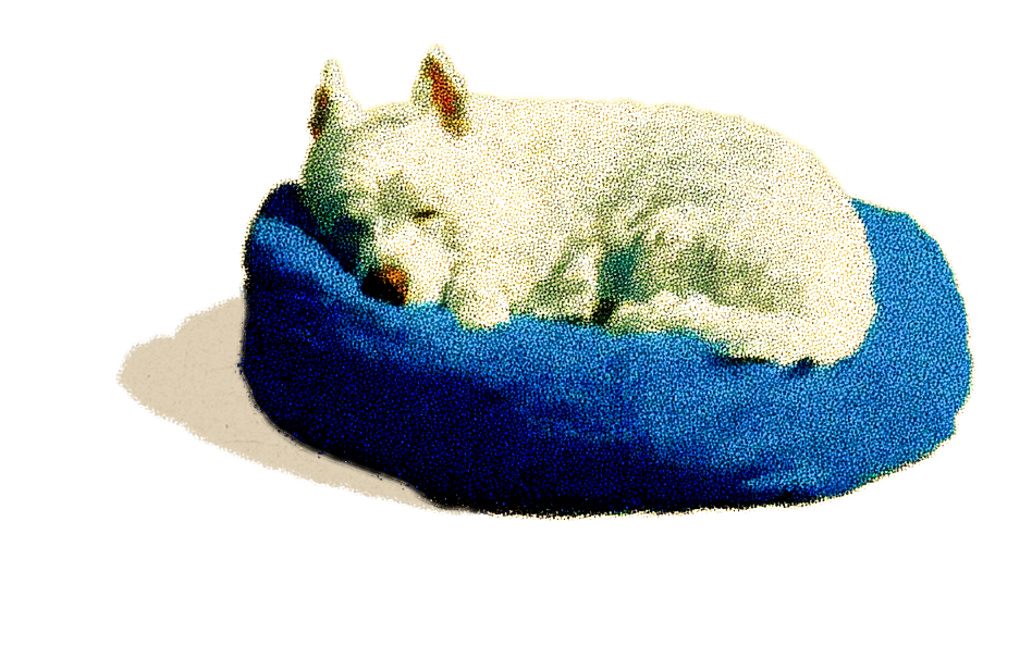 Terrier.png