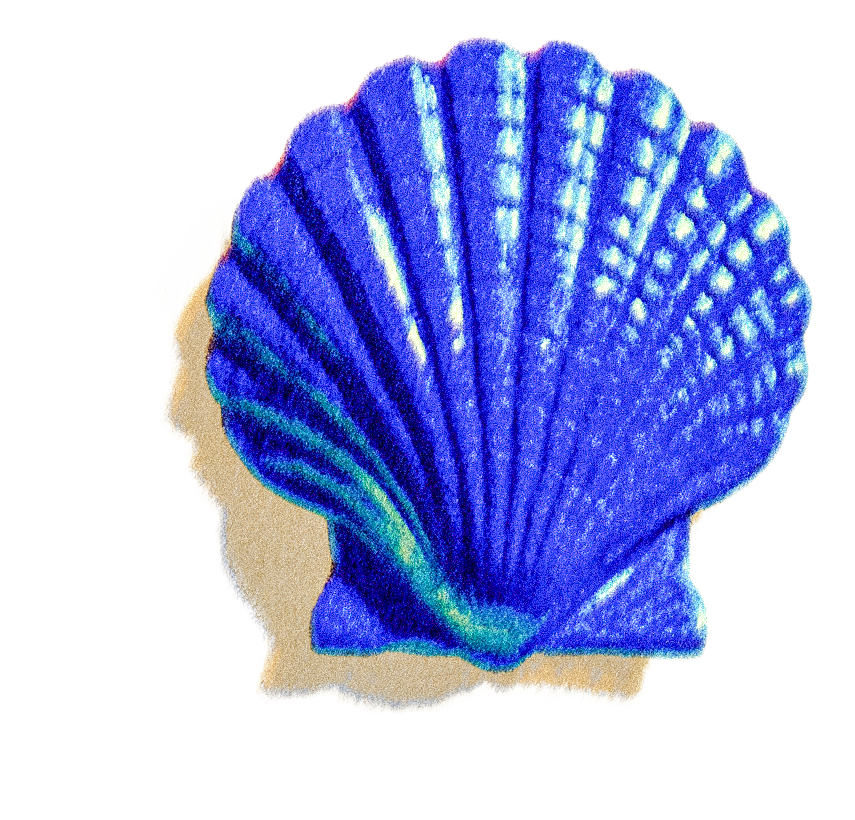 Shell.png