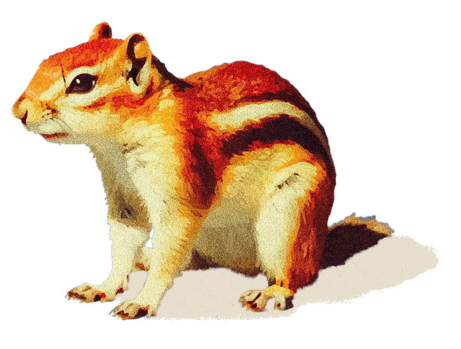 Chippy.png