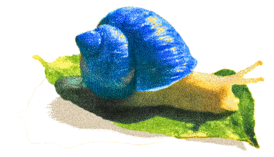 BlueSnail.png