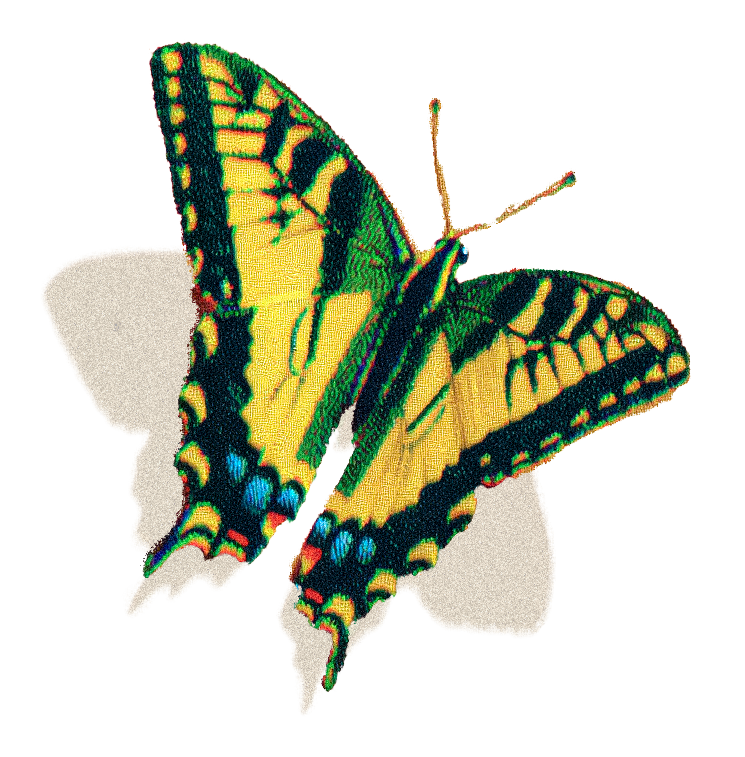 Swallowtail.png