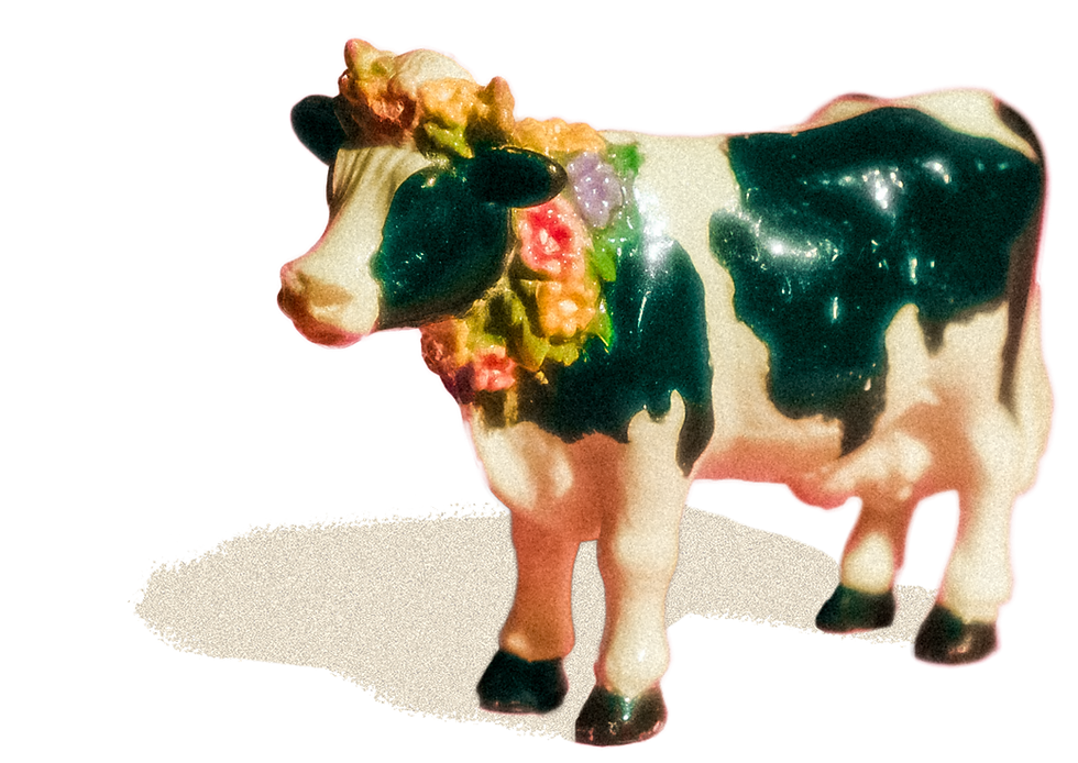 DariyCow.png
