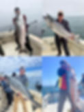 fishing_collage_originals.jpg