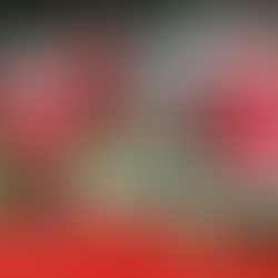 GOAL Mile 2019 Details