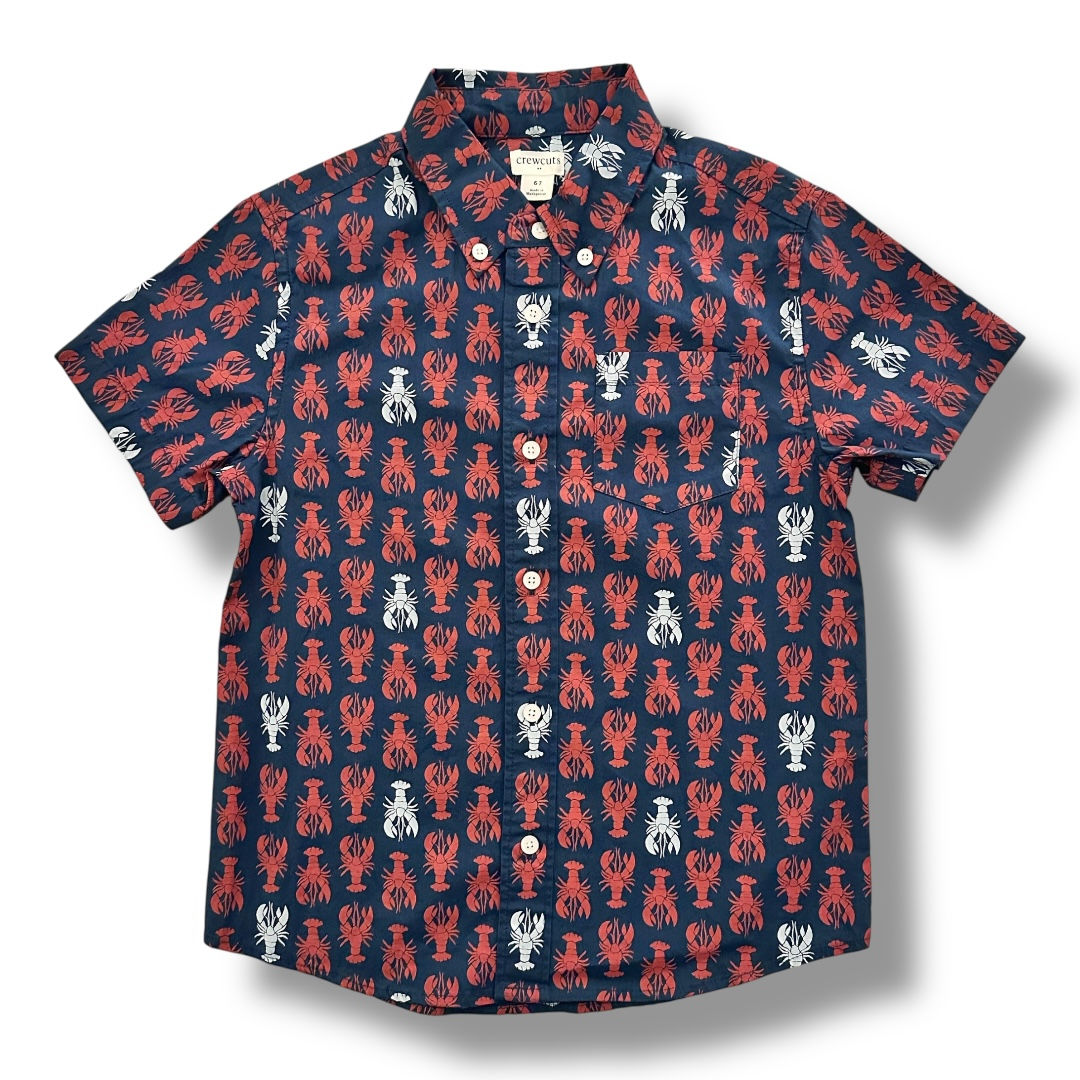 Crewcuts | Boys’ Washed Critter Shirt (6-7 yrs)