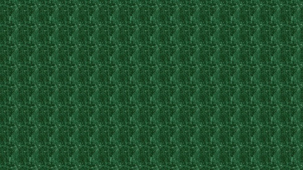 vert.jpg