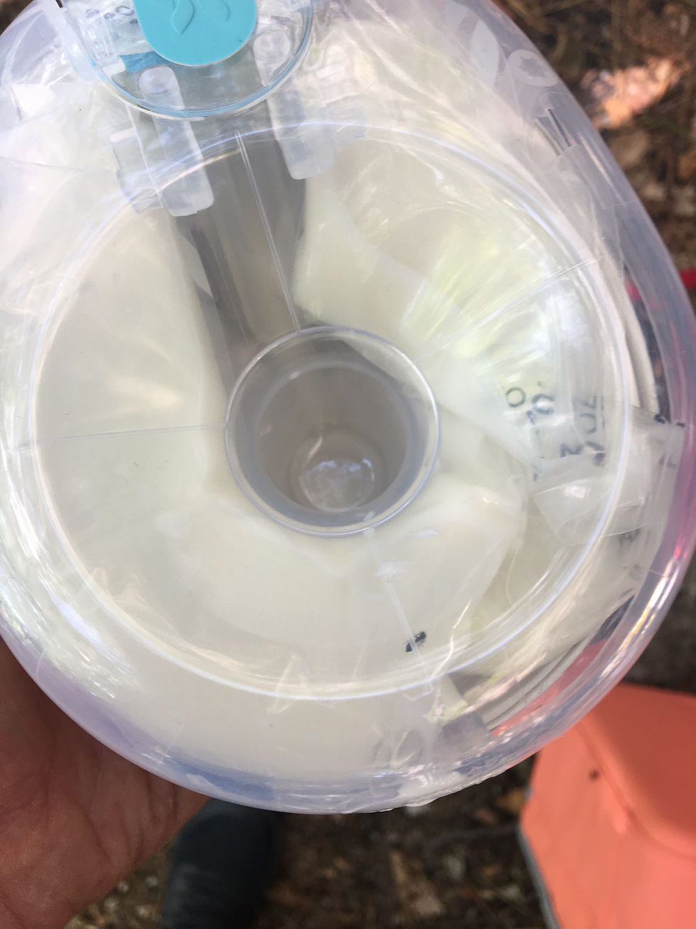 willow pump with full milk bag