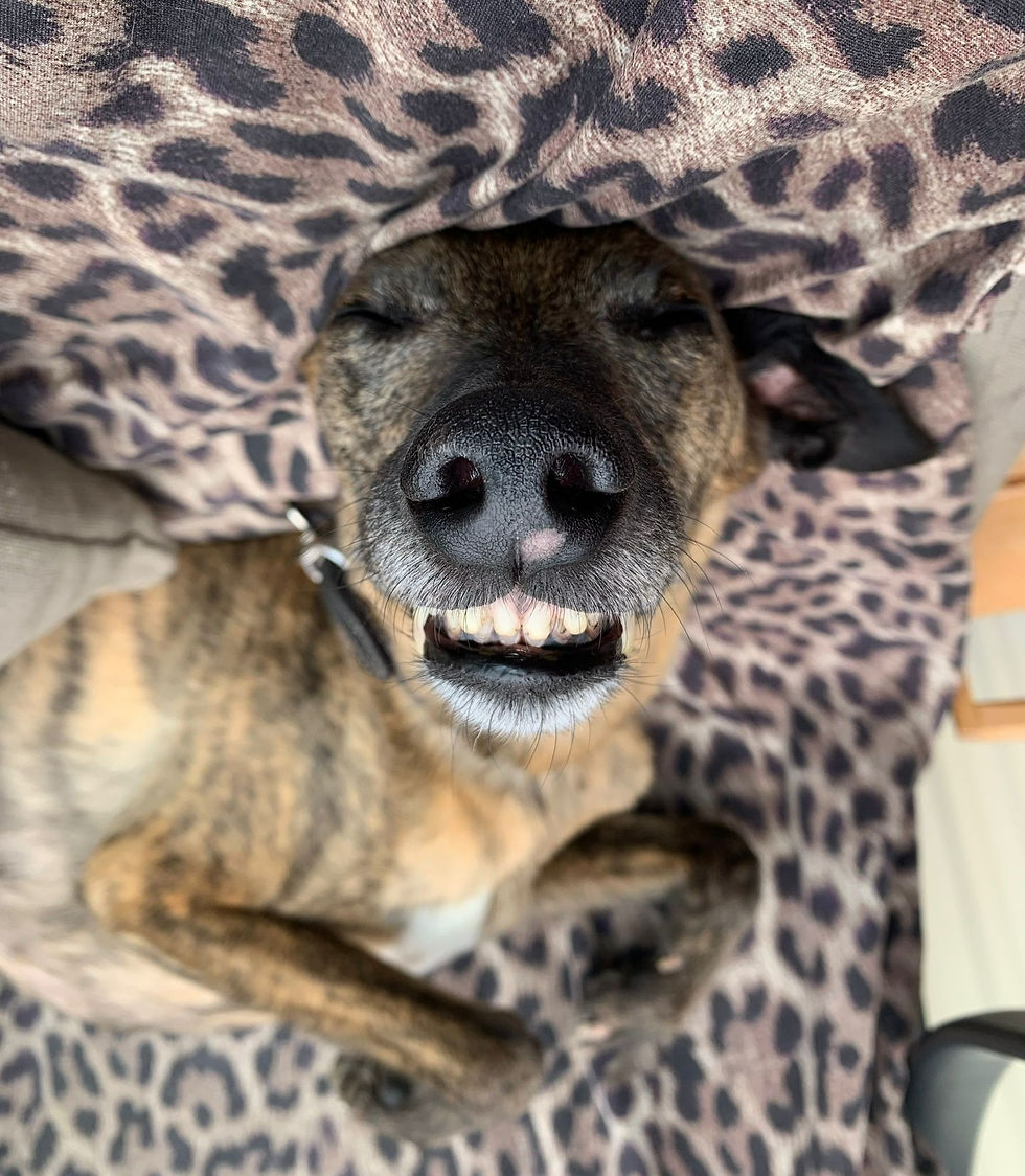 IMG-20220901-WA0013_edited