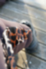 Miniatura: Wild Winter Pants - bronw