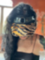 Miniatura: Wild Visors (Primavera/Verão)