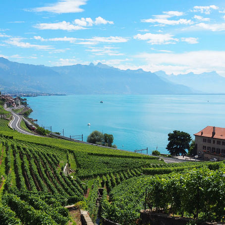 Race Reviews: Lausanne Half Marathon