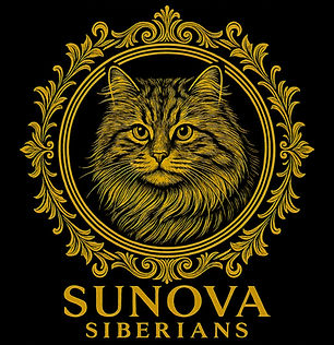 Logo2000_edited_edited.jpg