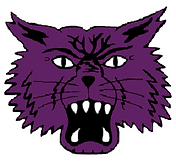 bearcat_logo_outline.png