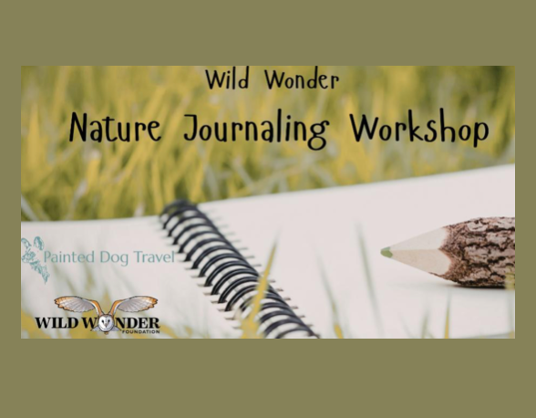 Wild Wonder Nature Journaling (free)