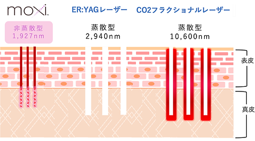 スクリーンショット 2024-02-10 17.46.50.png