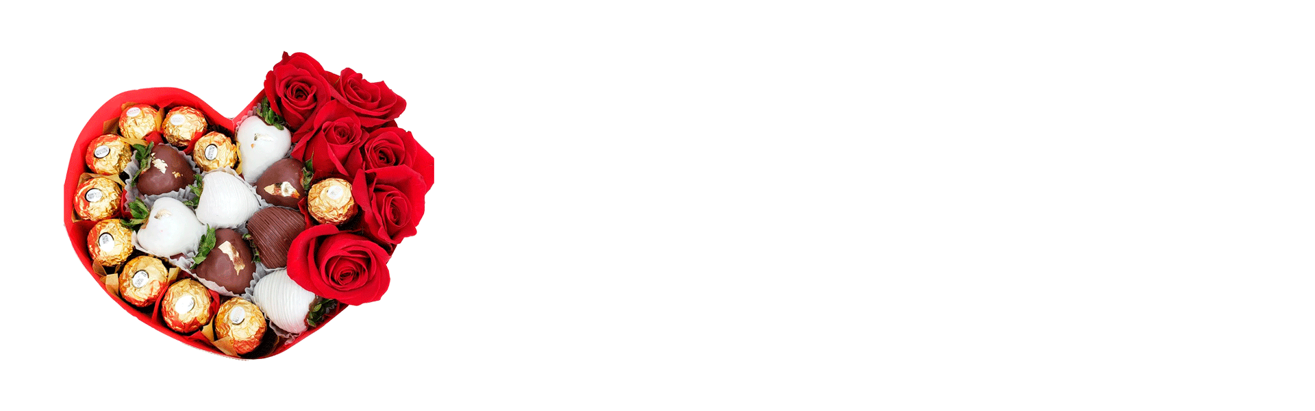 GIF-NUEVO.gif