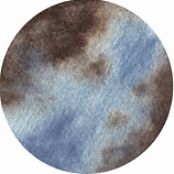 shamanic journey.gif