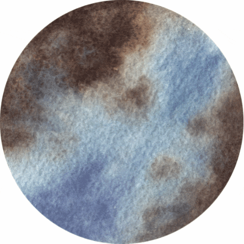 HOMEO (3).gif