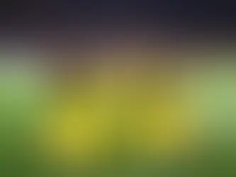 Qatar FIFA World Cup - Will it be remembered forever?