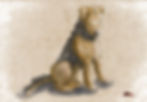 Seated brown dog character on a textured background