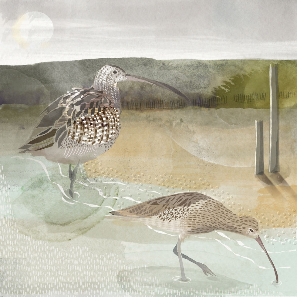 Untitled_Artwork 290