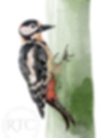 Mixed media illustration of a woodpecker on a green vertical branch.