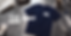 The Bear Banner 10.png