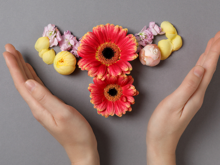 Why Diet Matters in                       Pre-Menopause & Menopause