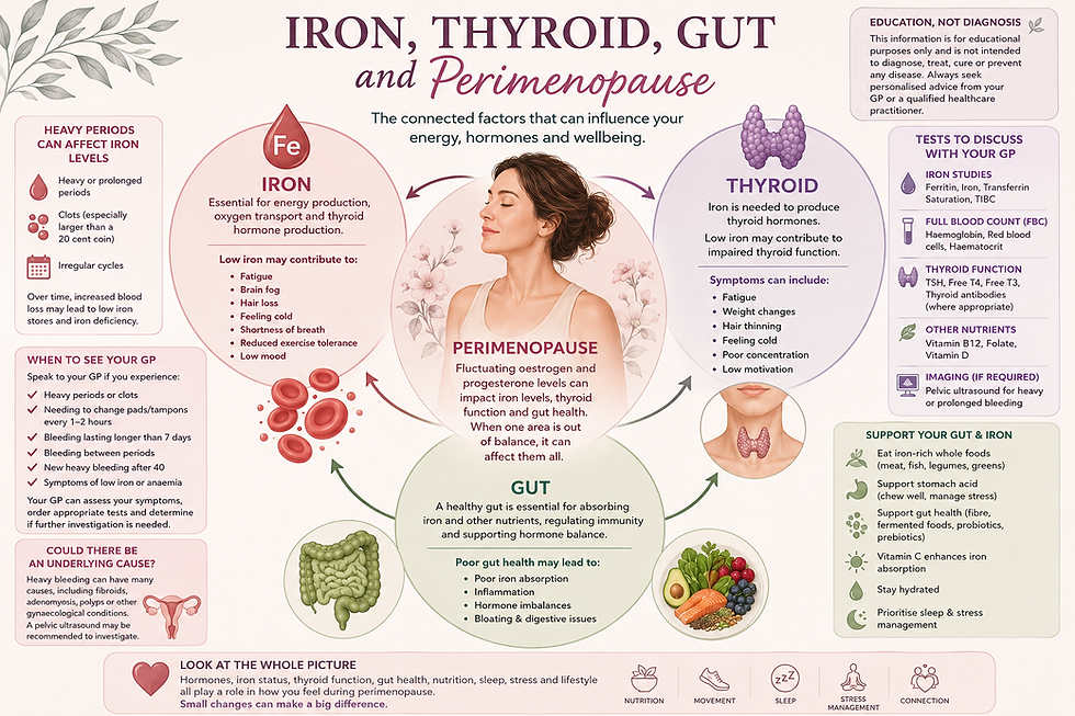 Could Low Iron Be Making Your Perimenopause Symptoms Worse? The Hidden Iron–Gut–Thyroid Connection Every Woman Should Know 