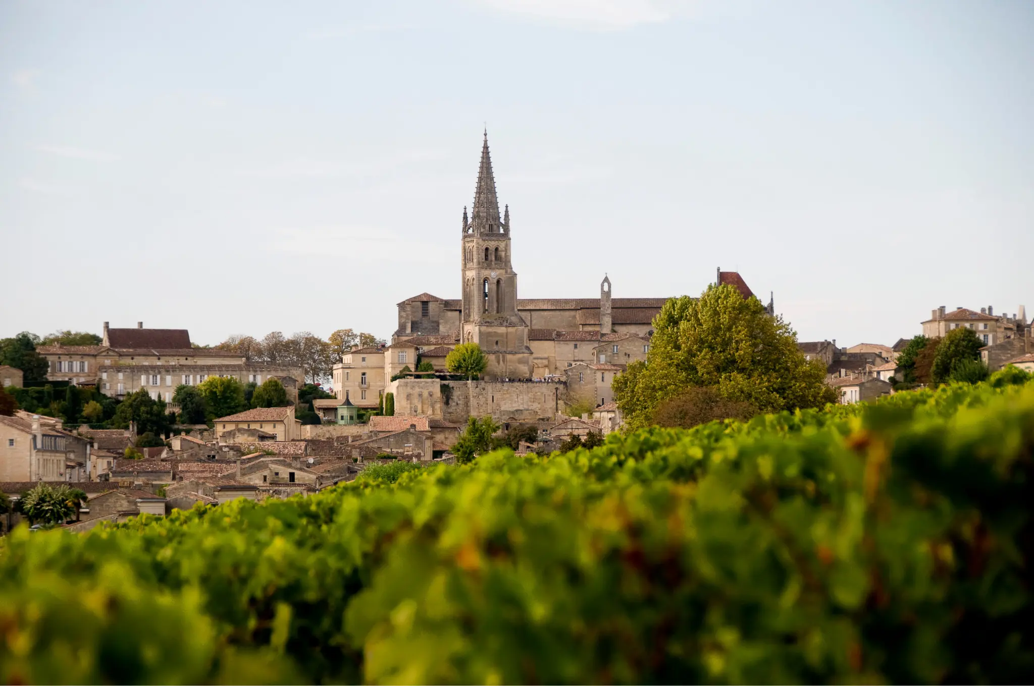 Saint-Émilion village and vineyards on FTLO's France wine trip
