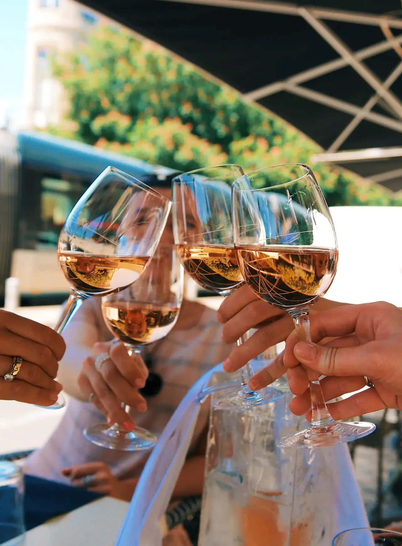 FTLO travelers toasting rosé together in French wine country