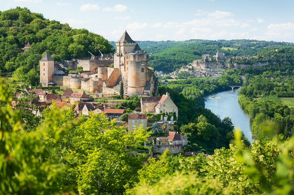 Aerial view of historic castle in the french wine country