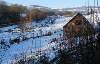 Barn and wetland area in winter snow