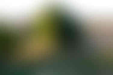 In drought, July 2026