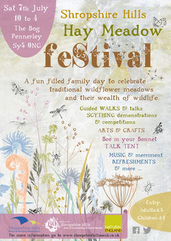 AONB Hay Meadow Festival poster