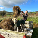 Tilly directing raking operations