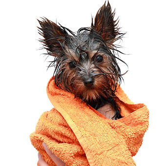 iStock-133826144.jpg