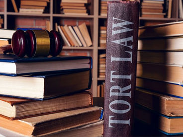 What is a Tort Claim