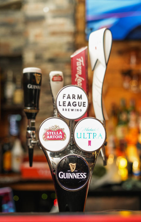 The Rabbid Fox Gallery